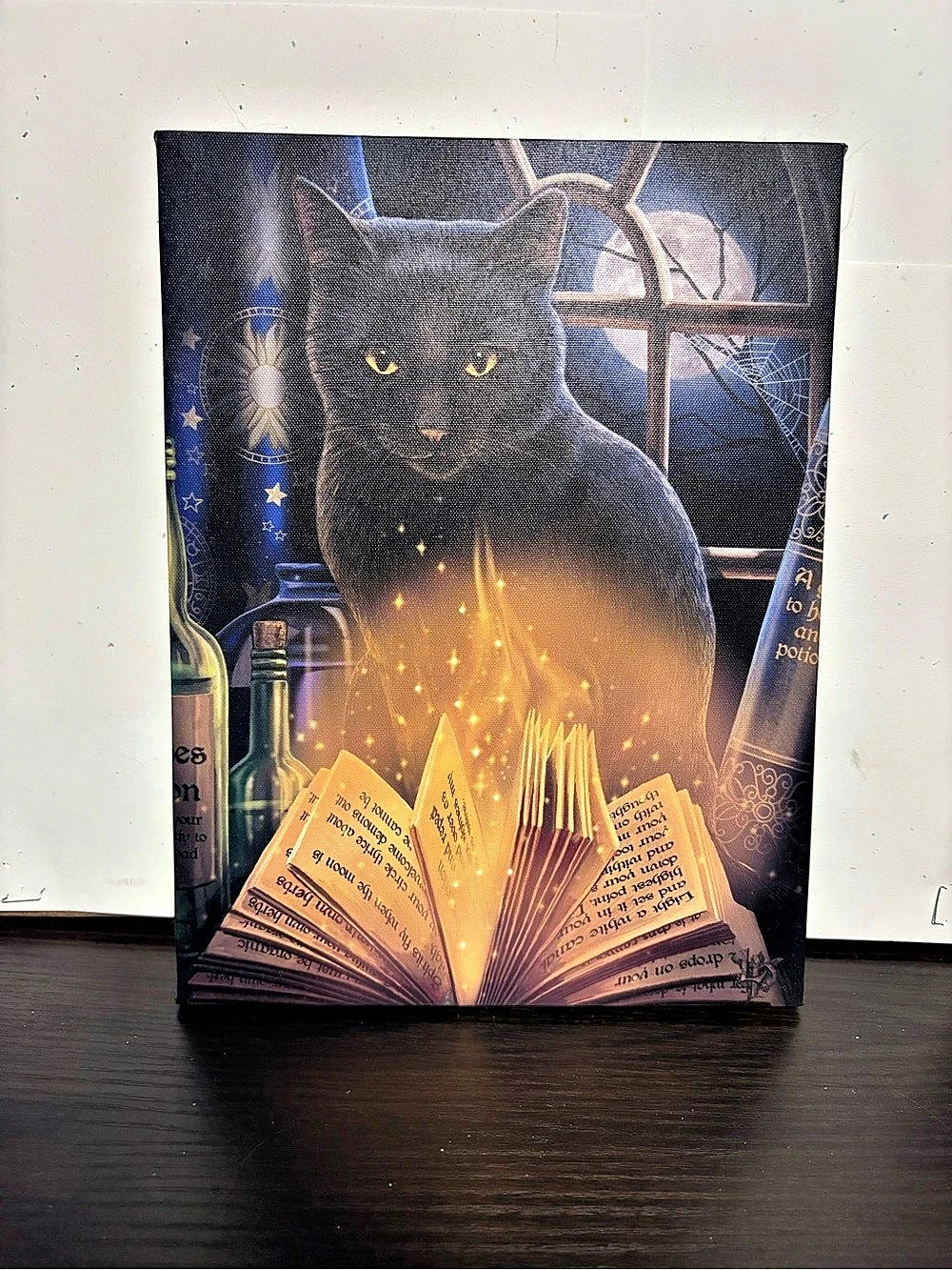 Black & Blue Cat Mixed Media Wall Art